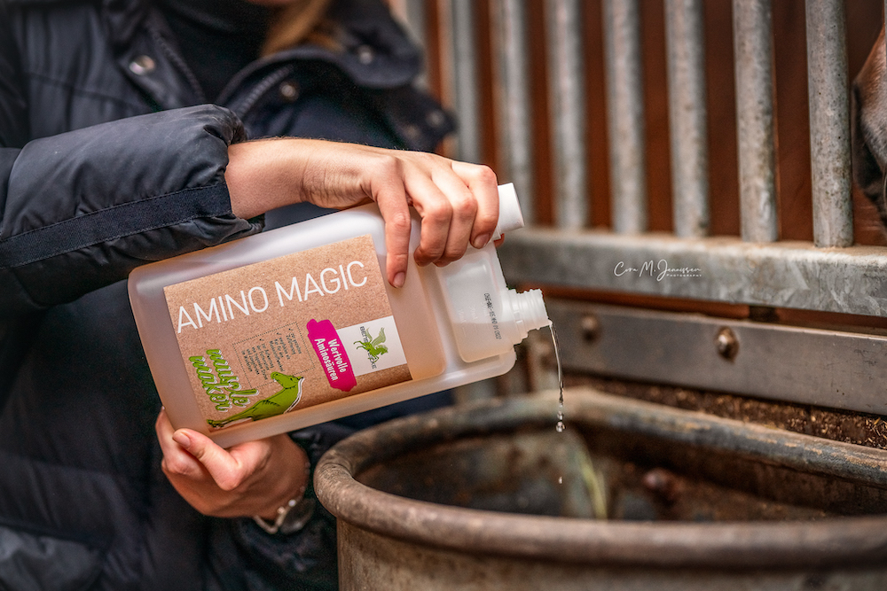 Amino Magic 1000 ml