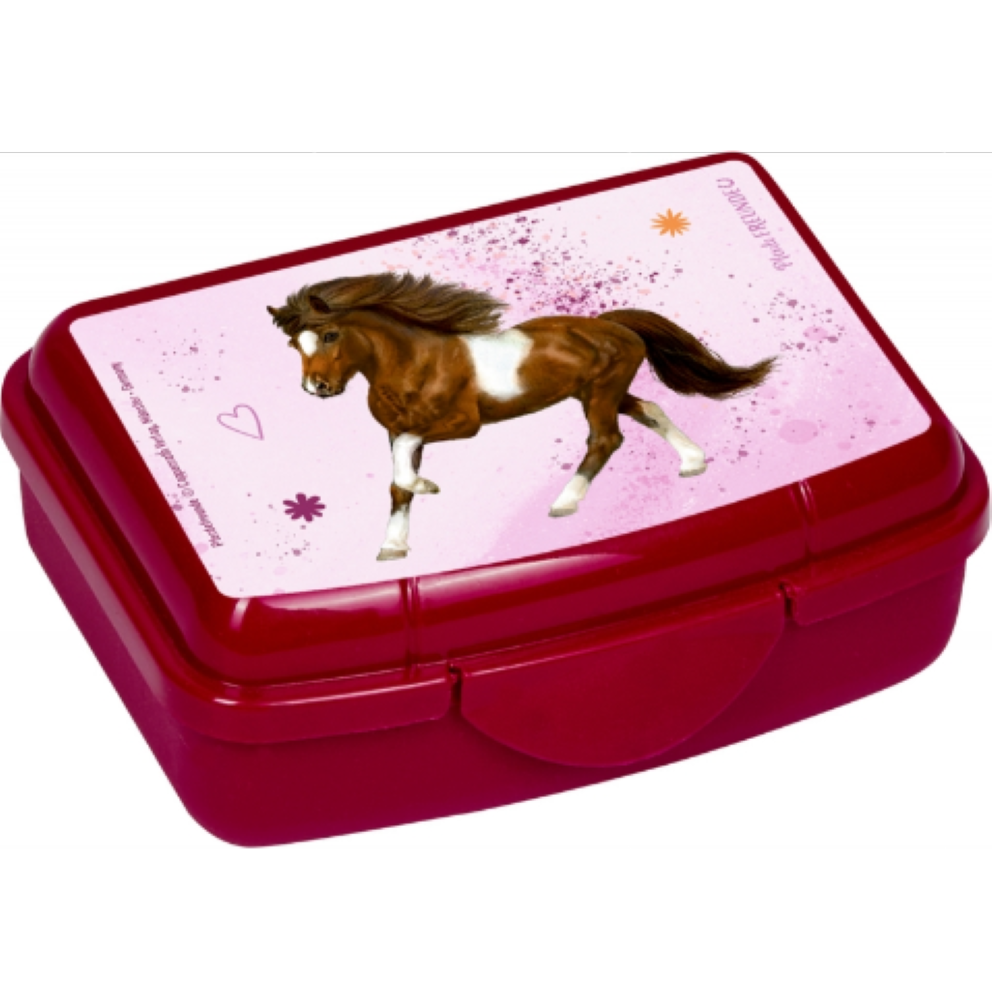 Mini-Snackbox Pferdefreunde