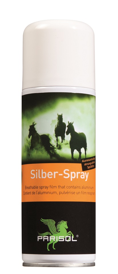 Silber Spray 200 ml